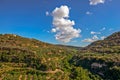 Olive groves on hills in Crete, Greece Royalty Free Stock Photo