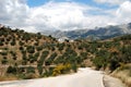 Olive groves and mountains, Andalusia, Spain. Royalty Free Stock Photo