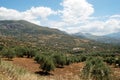 Olive groves and mountains, Andalusia. Royalty Free Stock Photo