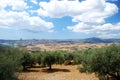 Olive groves and mountains, Periana. Royalty Free Stock Photo