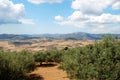 Olive groves and mountains, Periana. Royalty Free Stock Photo