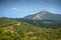 Olive groves by Villanueva De Algaidas Royalty Free Stock Photo