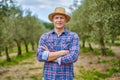 Olive grower working in olive grove.