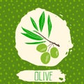 Olive hand drawn sketched fruit with leaf on background with dots pattern. Doodle vector olive for logo, label, brand identity.