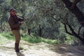 Olive harvesting Royalty Free Stock Photo