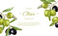 Olive horizontal banner