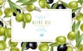 Olive horizontal banner