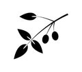 Olive icon illustrated in vector on white background Royalty Free Stock Photo