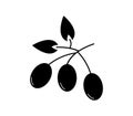 Olive icon illustrated in vector on white background Royalty Free Stock Photo