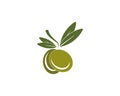 olive icon vector illustration