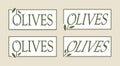 Olive label set, vector logos template. Gourmet premium food emblems collection. Simple tag design.