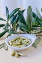 Olive leaf extract in capsules. Dietary Supplements. Royalty Free Stock Photo