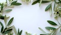 Olive leaf frame with copy space on white background Royalty Free Stock Photo