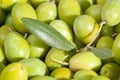 Olive leaf and green olives, up close