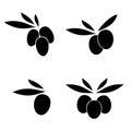 Olive with leaves, vector label