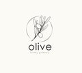 Olive logo and branch. Hand drawn wedding herb, plant and monogram with elegant leaves for invitation save the date card Royalty Free Stock Photo