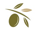 Olive logo icon vector