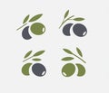 Olive logo set. Black ripe and green olive branch with leaves. Gourmet food emblems. Simple logotype design.