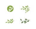 olive logo template