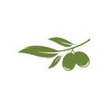 Olive logo template vector icon illustration