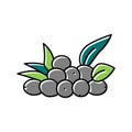 olive natural berries color icon vector illustration