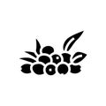 olive natural berries glyph icon vector illustration