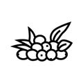 olive natural berries line icon vector illustration