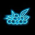 olive natural berries neon glow icon illustration