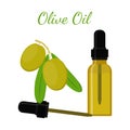 Olive natural oil. Essential oil, cosmetics, spa, aromatherapy