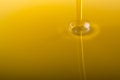 Olive oil Royalty Free Stock Photo