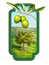 Olive oil