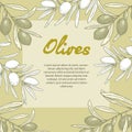 Olive oil banner design template. Sketch style olive branches and extra virgin vector label with olive tree on light background. Royalty Free Stock Photo