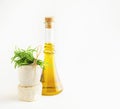 Olive oil on bottle with fresh rosemary twig and brie camambert cheese, isolated on white background. Royalty Free Stock Photo