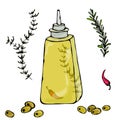 Olive Oil Bottle with Herbs, Thyme, Rosemary, Chili, Pepper, and Metal Dispenser. Vector Illustration Isolated On a