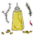 Olive Oil Bottle with Herbs, Thyme, Rosemary, Chili, Pepper, and Metal Dispenser. Vector Illustration On a