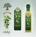 Olive Oil bottle and label design template. Royalty Free Stock Photo