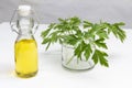 Olive oil in bottle. Sprigs of parsley in jar Royalty Free Stock Photo