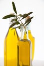 Olive oil bottles on white background Royalty Free Stock Photo