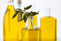 Olive oil bottles on white background Royalty Free Stock Photo