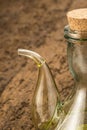 Olive oil, cruet close-up Royalty Free Stock Photo