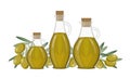 Olive oil in different glass jugs set, branch and leaves, vector illustration on white background