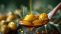 Olive Oil Drizzling onto Fresh Olives Wooden Spoon. Royalty Free Stock Photo