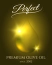 Olive oil drop poster template Royalty Free Stock Photo