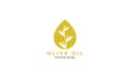 Olive oil drop water logo design vector icon symbol illustration Royalty Free Stock Photo