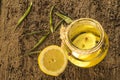 Olive oil flavored with lemon and red peppercorns Royalty Free Stock Photo