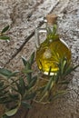 Olive oil flavored with rosemary Royalty Free Stock Photo