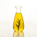 Olive oil flavored with rosemary isolated Royalty Free Stock Photo