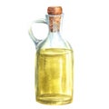 Olive oil in glass bottle, carafe with cork. Cooking food sauce Watercolor hand drawn illustration Royalty Free Stock Photo