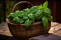 olive oil in a glass bottle, drizzled over pesto