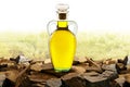 Olive oil glass bottle with olive oil Royalty Free Stock Photo